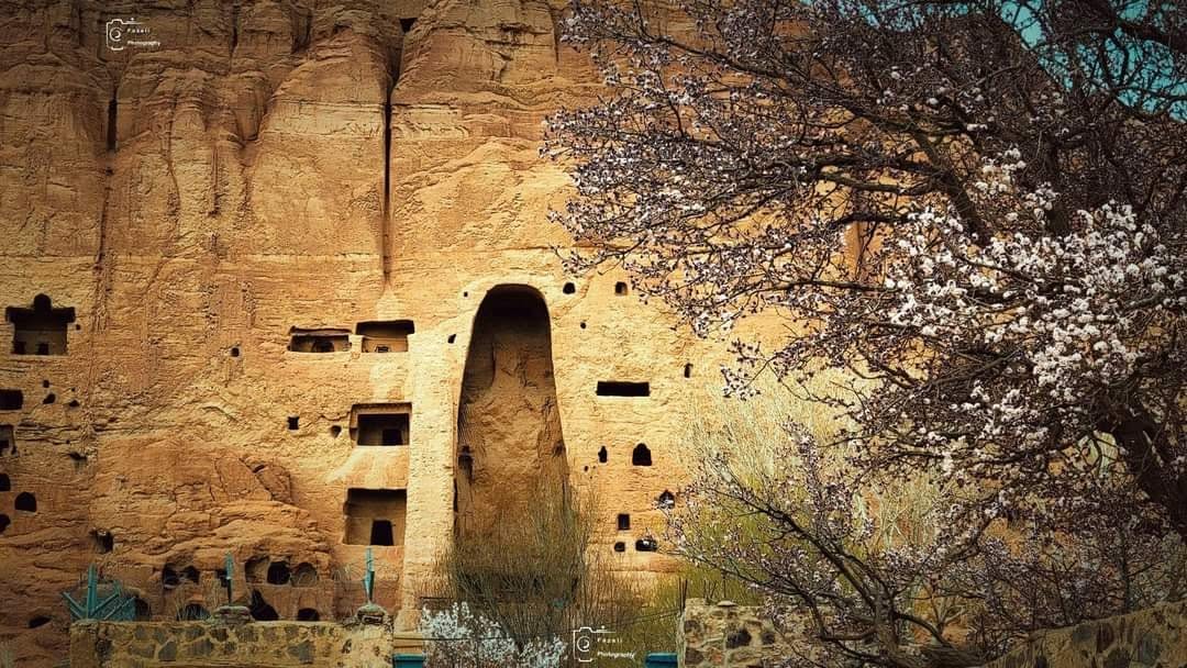 Die Felsnische mit einer Höhle von Bamiyan, im Vordergrund ein blühender Baum im Frühling
